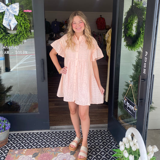 Sweet Eyelet Dress- Blush