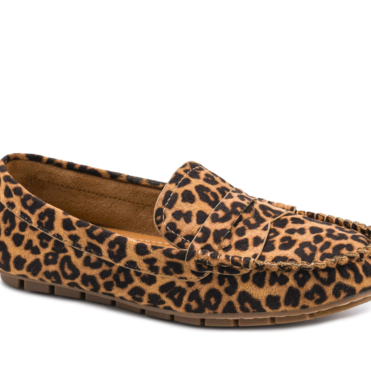 Penny for your Thoughts| Leopard