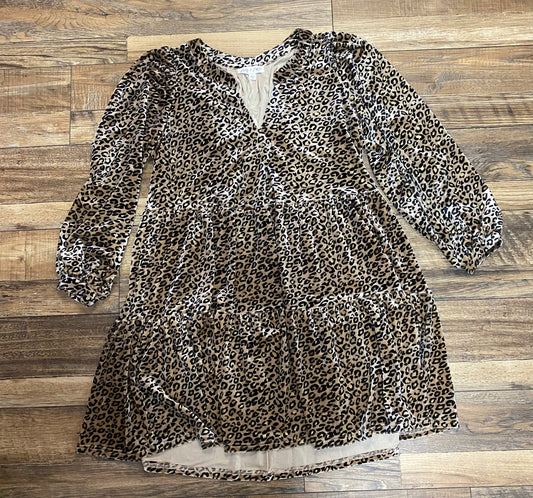 Leopard Loveliness